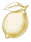 lemontransparent